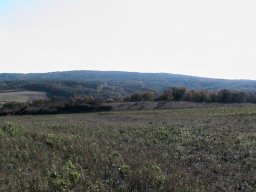 Stradonice - oppidum